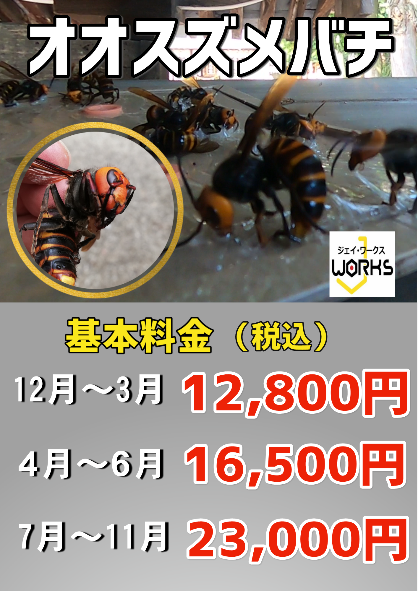 滋賀県 守山市 蜂の巣駆除は滋賀のハチ駆除「ジェイ・ワークス」